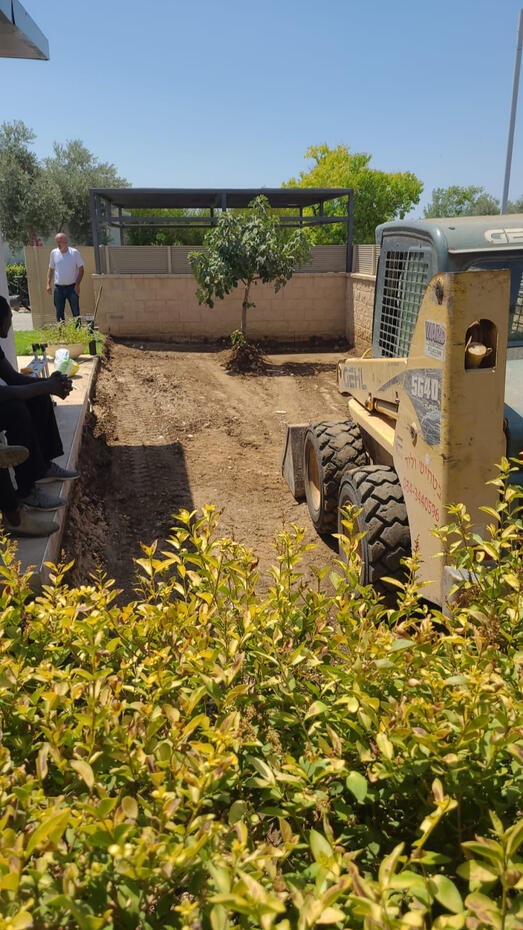 דדון ויקטור